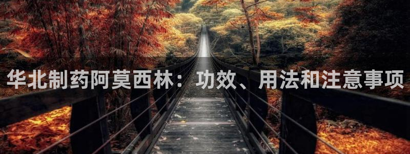 九游会老哥俱乐部官网首页：华北制药阿莫西林：功效、用法和注意事项
