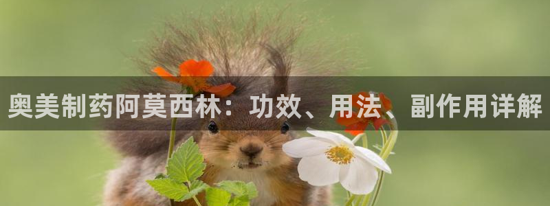 九游会老哥必备的交流社区九：奥美制药阿莫西林：功效、用法、副作用详解