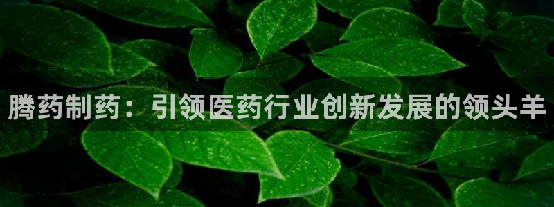 九游会老哥：腾药制药：引领医药行业创新发展的领头羊