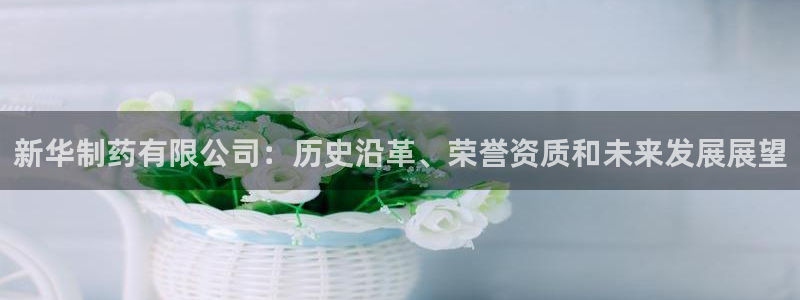 九游老哥俱乐部官网登录：新华制药有限公司：历史沿革、荣誉资质和未来发展展望