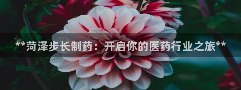 九游会老哥俱乐部社区论坛
