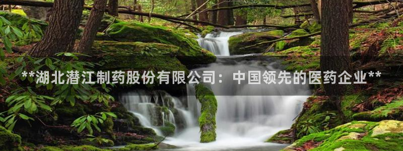 老哥俱乐部是干什么的啊：**湖北潜江制药股份有限公司：中国领先的医药企业**