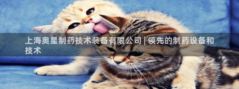 九游老哥俱乐部登录：上海奥星制药技术装备有限公司 | 领先的制药设备和
技术