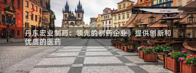九游老哥俱乐部登录：丹东宏业制药：领先的制药企业，提供创新和
优质的医药