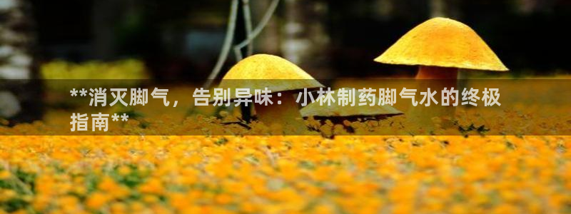 九游会老哥俱乐部社区论坛：**消灭脚气，告别异味：小林制药脚气水的终极
指南**