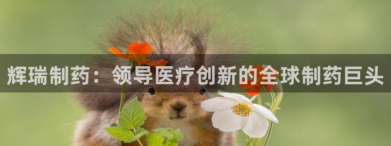 九游会老哥必备的交流社区：辉瑞制药：领导医疗创新的全球制药巨头