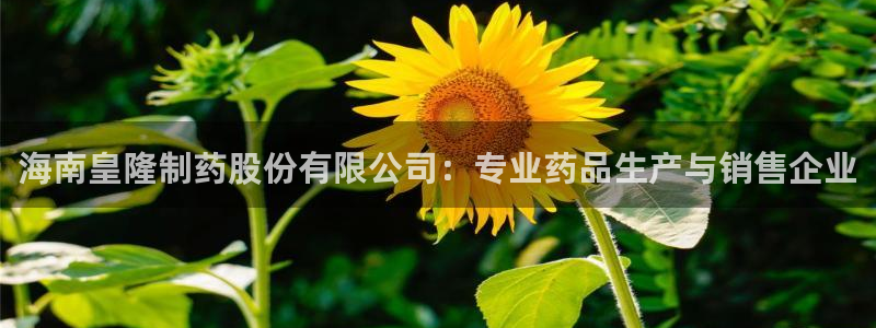 九游会老哥俱乐部必备的交流社区论坛：海南皇隆制药股份有限公司：专业药品生产与销售企业