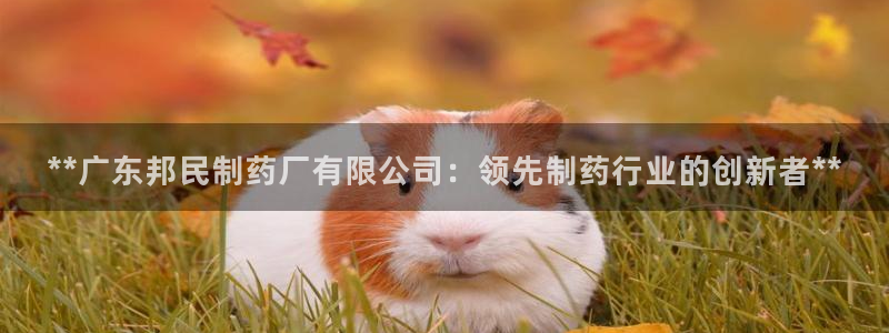 9游会老哥俱乐部：**广东邦民制药厂有限公司：领先制药行业的创新者**