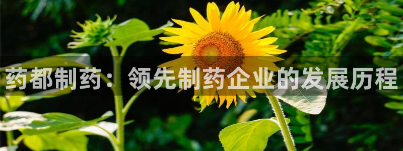 老哥俱乐部是干什么的啊：药都制药：领先制药企业的发展历程