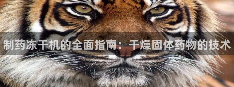 老哥吧九游会：制药冻干机的全面指南：干燥固体药物的技术