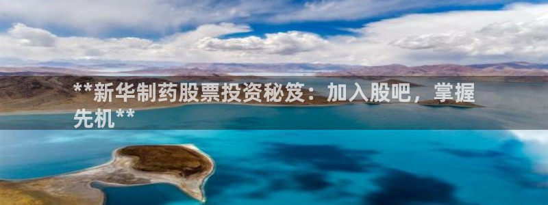 九游会老哥俱乐部必备的交流社区论坛：**新华制药股票投资秘笈：加入股吧，掌握
先机**