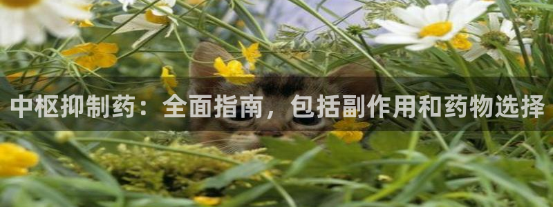 j9九游会老哥俱乐部交流区：中枢抑制药：全面指南，包括副作用和药物选择