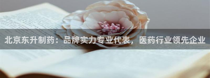 9游会老哥俱乐部：北京东升制药：品牌实力专业代表，医药行业领